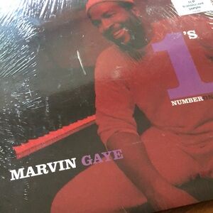 Marvin Gaye Vinyl Record